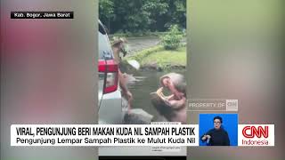 Viral, Pengunjung Taman Safari Beri Makan Kudanil Sampah Plastik