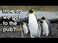 Ozzy Man Reviews: Penguins vs Rope