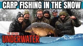 🤿 Underwater: Carp Fishing in the Snow ❄️ | Ali Hamidi | One More Cast