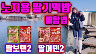 노지용떡밥배합법(딸어텐2/딸보텐2)