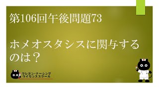 【看護師国家試験対策】第106回 午後問題73 過去問解説講座【クレヨン・ナーシングライセンススクール】