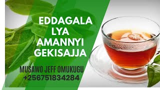 Eddagala Lyomusajja Amala Amangu - (YONGEZA AMANNYI)