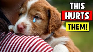 10 EVERYDAY Things That HURT'S Your Dog’s FEELINGS 🐶💔