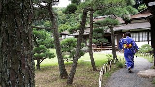 YOKOHAMA, Japan | SANKEIEN Garden with Tea Ceremony; cruising with SEABASS from Yamashita Park