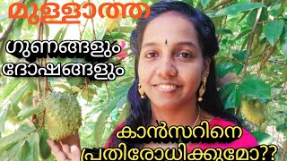 മുള്ളാത്ത# soursop# മുള്ളൻചക്ക# ഗുണങ്ങളും side effects ഉം