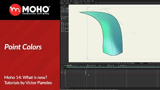 Moho 14 Tutorials: Point Colors