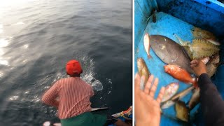 ചൂണ്ടയിട്ടു പിടിച്ച മീനുകളെ കണ്ടോ/ Did you see the baited fish?|malayalam | life of Laban | fishing