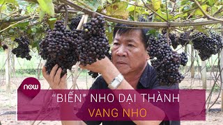 Lão nông Tây Ninh 