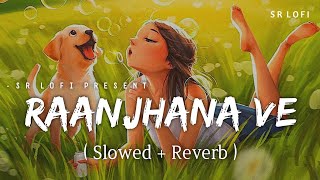 Raanjhana Ve - Lofi (Slowed + Reverb) | Antara Mitra, Soham Naik | SR Lofi