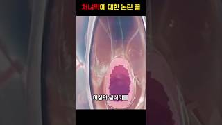 이제 논란은 끝! #이건몰랐지