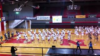 Mount Carmel Carmelettes Advanced Pom Pre-Practice