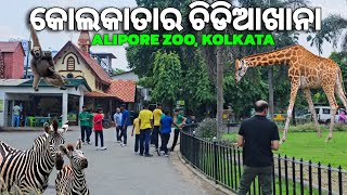 କୋଲକାତାର ଅଲିପୁର ଚିଡିଆଖାନା | Alipore Zoo Kolkata | #odiavlog #kolkata #gouttam