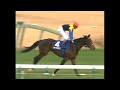 【4kリマスター】2006年 有馬記念（gⅠ） ディープインパクト jra公式