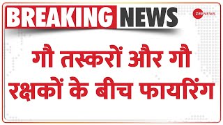 Gurugram में गौ तस्करों और गौ रक्षकों के बीच Firing | Breaking News | Hindi News | Cow Smugglers