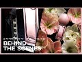 BEHIND THE SCENES - FLOWER EXPLOSION SENTEUR de CAIA