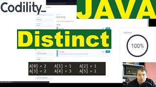 Codility Distinct Java solution