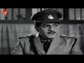 takkari donga chakani chukka telugu full movie krishna vijaya nirmala v9 videos