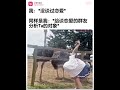 当单身的我对有恋爱烦恼问题的朋友头头是道时 funny memes