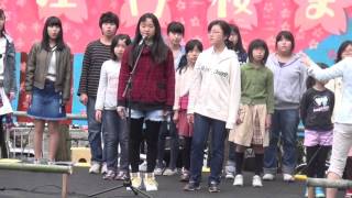 西部少年少女合唱団　「さよなら ごきげんよう」　庄内桜祭り 2016-04-02