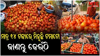 ମାତ୍ର ୧୪ ଟଙ୍କାରେ ମିଳୁଛି ଟମାଟୋ | MTC News