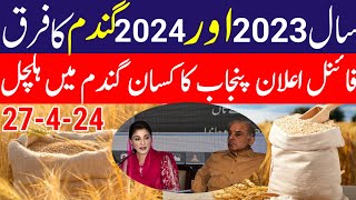 Wheat price in Pakistan 2024/wheat price in punjab 2024 gundamگندم کی امدادی قیمت فائنل اعلان