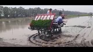 Yanmar Ride On Transplanter YR60D