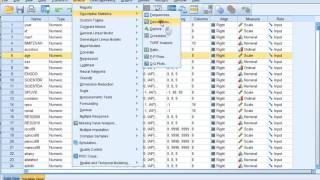 SPSS - Mean and Standard Deviation (via Descriptives)