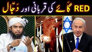 🔥 RED Heifers in Israel Vs Palestine ? 🔥 DAJJAL Vs ESA Maseeh علیہ السلام ? 😡 Engineer Muhammad Ali