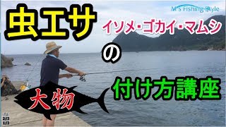 虫エサ（釣りエサ）の付け方・さし方【アオイソメ・ゴカイ・マムシ（本虫）】などキス釣りや五目釣りでよく使うエサ