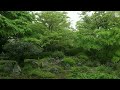 4k 源光庵・京都 2022　genko an kyoto japanese garden