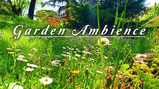 Healing Nature Meditation 🌳 GARDEN AMBIENCE 🌿 Relaxing Spring Sounds on a Lovely Sunny Morning