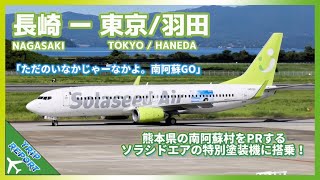 【Trip Report・搭乗記】ソラシドエア | Nagasaki (長崎空港) to Tokyo Haneda (東京 / 羽田) | Boeing 737-800 (JA812X)