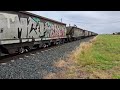 aurizon 2302d 2306d coal train at jondaryan