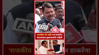 Devendra Fadnavis: 'राजकीय भेट नाही' राज ठाकरेंना भेटल्यानंतर मुख्यमंत्र्यांची माहिती #shorts