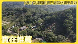 【實易不動產】實在推薦ˍ（專）新竹縣新埔柿餅觀光園區休閒美農地 HD