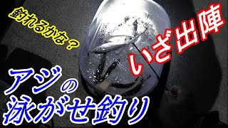 【佐渡の防波堤釣り】アジの泳がせ釣りで久々の釣果！〈2021年11月中旬〉