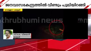 കണ്ണൂർ വെള്ളോറയിൽ പുലി! റോഡ് മുറിച്ചു കടക്കുന്ന പുലിയെ കണ്ടത് കാർ യാത്രികർ | Kannur | Leopard