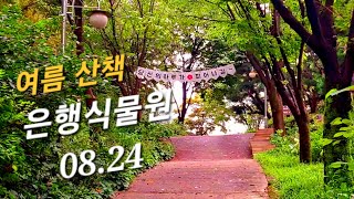 ☘️ 경기 - 은행식물원 | 성남시 식물원 | 걷기 좋은 길 | 성남 가볼만한곳 | 당일치기 국내여행 | Day trip domestic travel