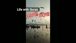 Qur'an translation #quran #islam #shorts #shortsvideo #viral #status #religion #quran knowledge #yt