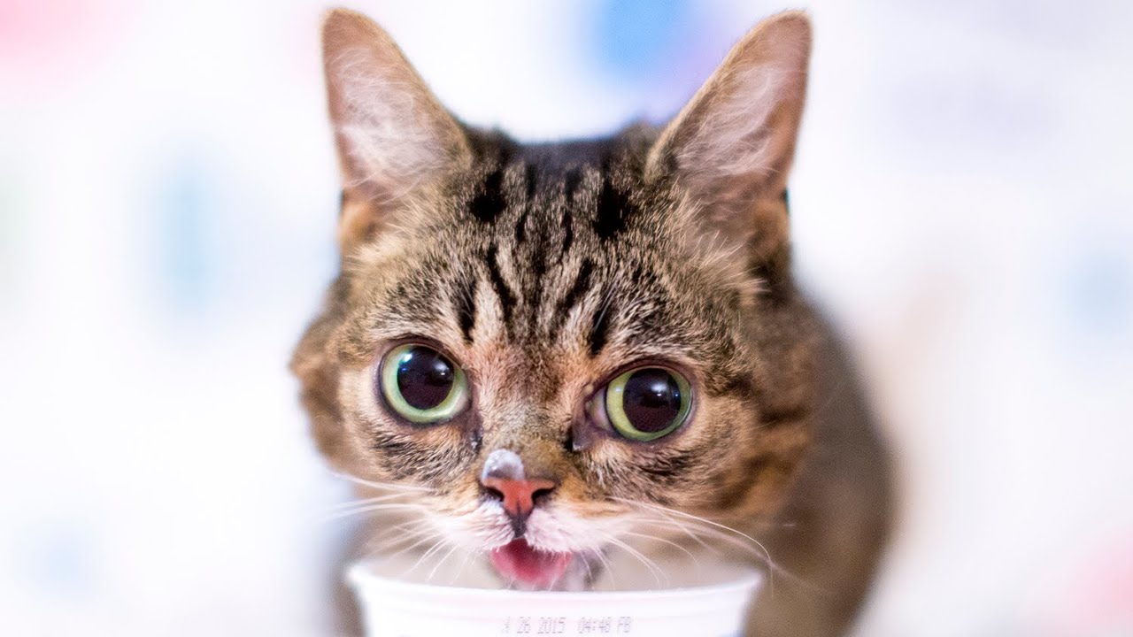 Feeding Time Youtube