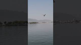 ajmer Anasagar Lake#beutiful#lake