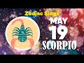 🙌 𝐓𝐇𝐄 𝐌𝐈𝐑𝐀𝐂𝐋𝐄 😇 𝐘𝐎𝐔 𝐖𝐀𝐈𝐓𝐄𝐃 𝐅𝐎𝐑🌟 tarot Scorpio ♏ Horoscope for today may 19 2023 🔮horoscope Daily may