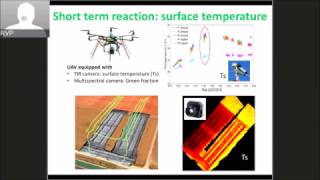 Baret Frederic, French National Institute for Agricultural Research (INRA), France