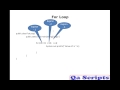 Core Java Topic - 6: Control Statements