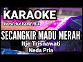 SECANGKIR MADU MERAH - Itje Trisnawati | Karaoke dut band mix nada pria | Lirik