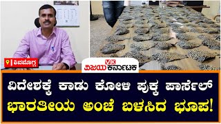 ಶಿವಮೊಗ್ಗ- ಕಾಡು ಕೋಳಿ ಪುಕ್ಕ ಹೊರದೇಶಕ್ಕೆ ಅಂಚೆ ಮೂಲಕ ಪಾರ್ಸೆಲ್, ಅರಣ್ಯ ಇಲಾಖೆ ಕಾರ್ಯಾಚರಣೆ|Vijay Karnataka