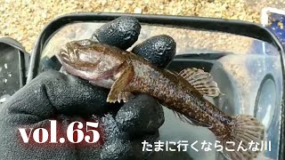 『ヌシを求めて』ウェーダー修理その後～たまに行くならこんな川(65)～#ガサガサ #川遊び