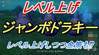 【ドラクエ10】新エリアのモンスター・ジャンボドラキーでレベル上げしてみた！新エリアのモンスターで玉給はどれだけ稼げるの？