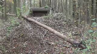 Herfstwandeling door het Stealduinsebos en een bezoekje aan de Oranjesluis