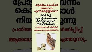 ഈ ചൊല്ല് കേൾക്കാത്തവർ ഉണ്ടോ #shortsfeed #tipsandtricks #healthyquote